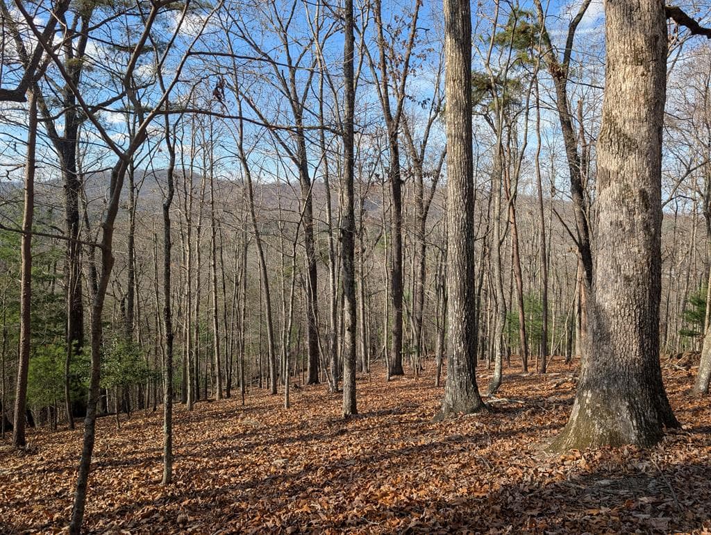 902 Mountain Top Drive, Murphy MD 20906 - Primary photo