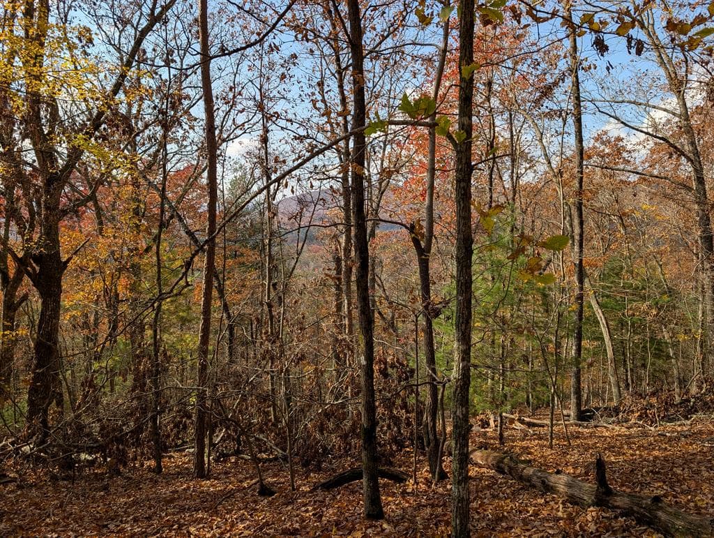 902 Mountain Top Drive, Murphy MD 20906 - Photo