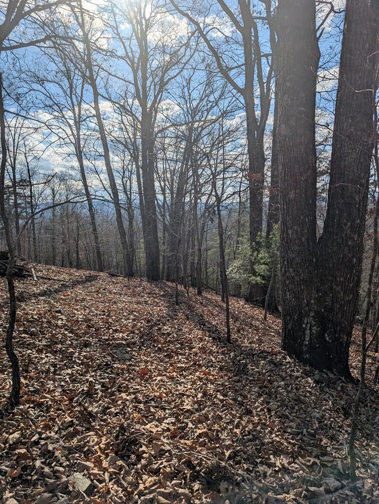 902 Mountain Top Drive, Murphy MD 20906 - Photo