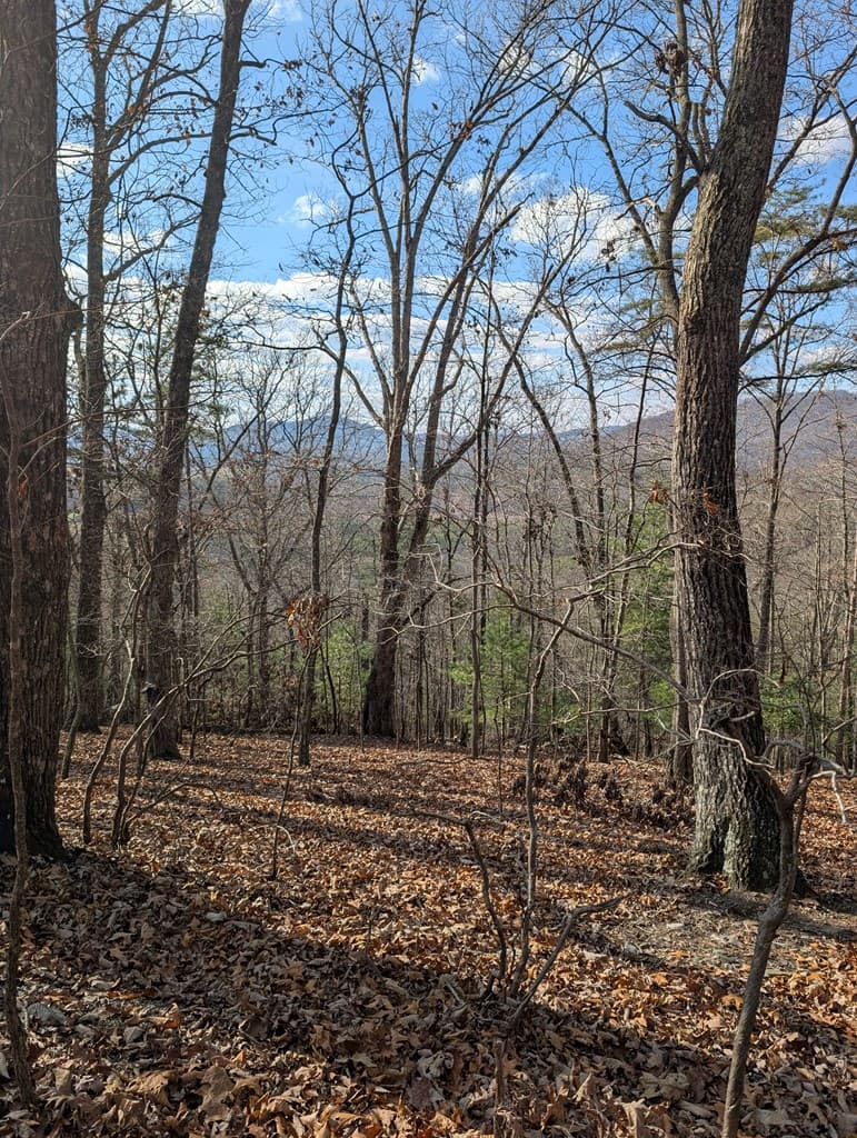 902 Mountain Top Drive, Murphy MD 20906 - Photo