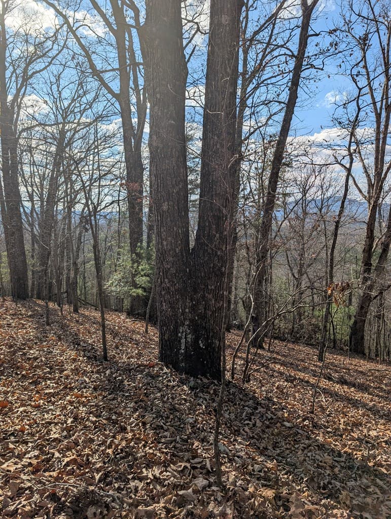 902 Mountain Top Drive, Murphy MD 20906 - Photo