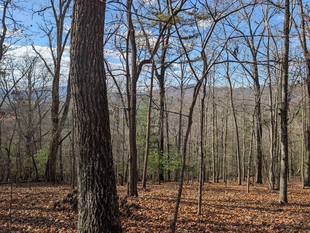 902 Mountain Top Drive, Murphy MD 20906 - Photo