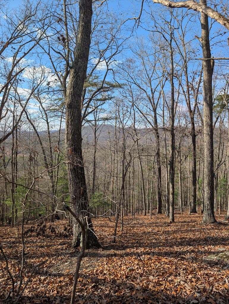 902 Mountain Top Drive, Murphy MD 20906 - Photo