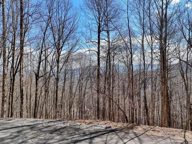 Lot 37 Overlook At Y.H., Young Harris GA 30582 - Photo
