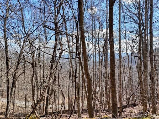 Lot 37 Overlook At Y.H., Young Harris GA 30582 - Photo