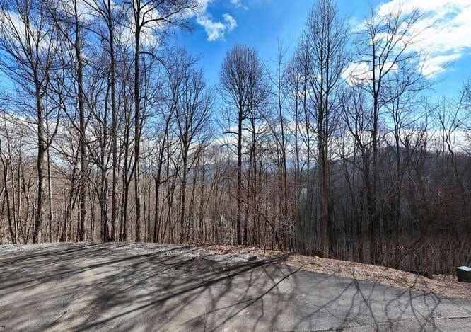 Lot 37 Overlook At Y.H., Young Harris GA 30582 - Photo