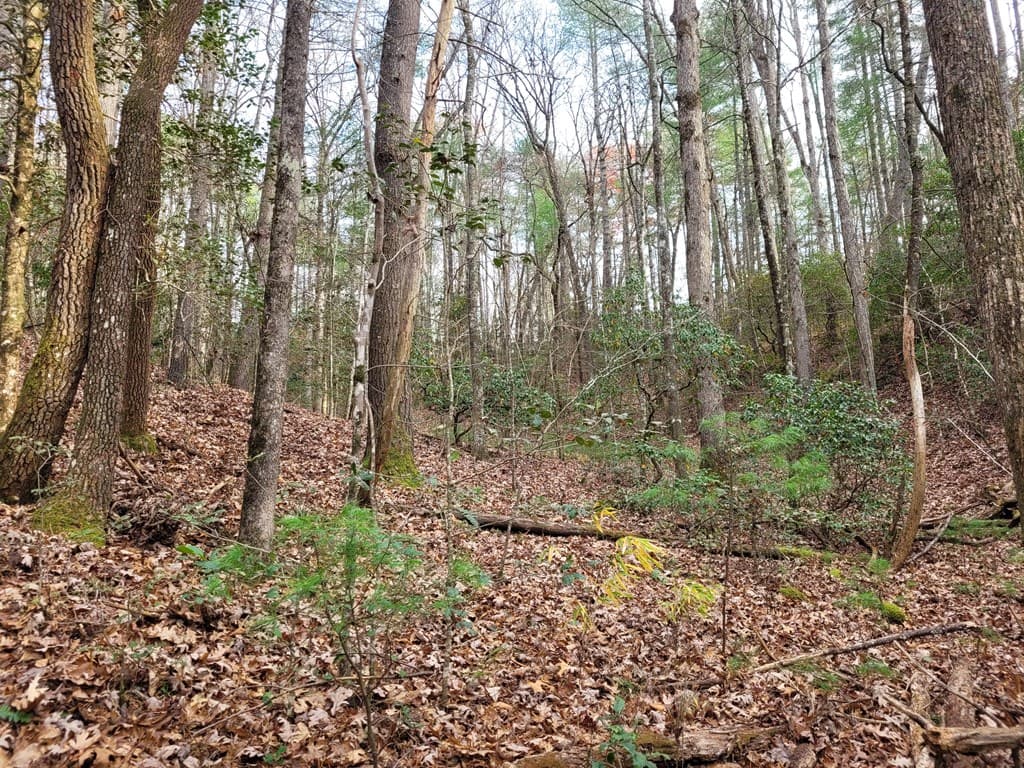 Lot 31 Poplar Cove, Hayesville NC 28904 - Photo