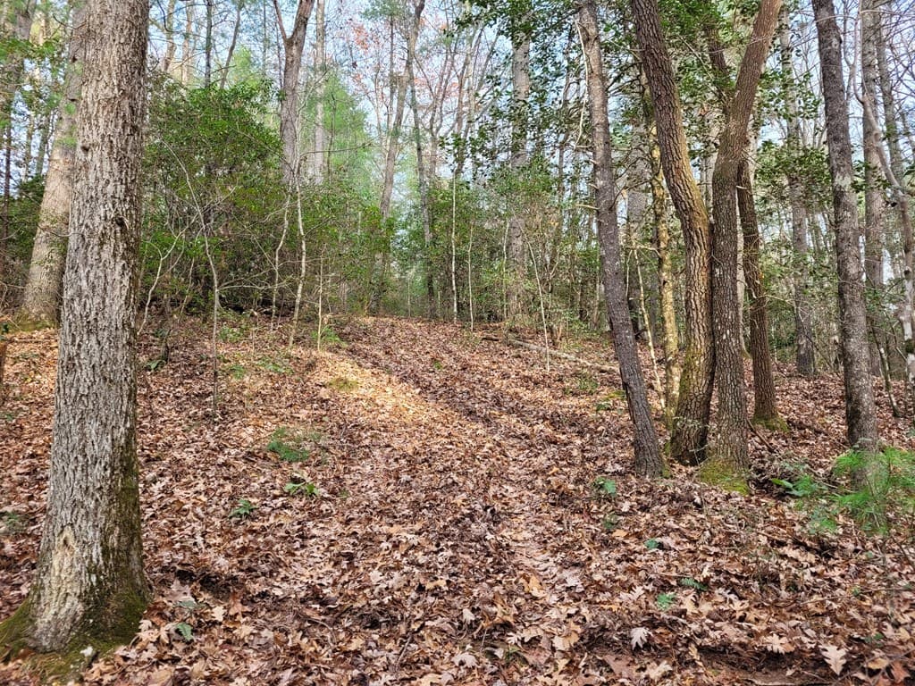 Lot 31 Poplar Cove, Hayesville NC 28904 - Photo