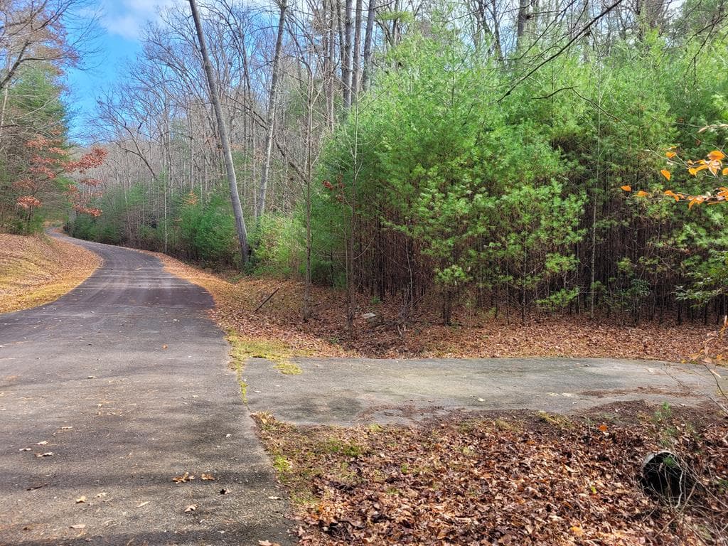 Lot 31 Poplar Cove, Hayesville NC 28904 - Photo