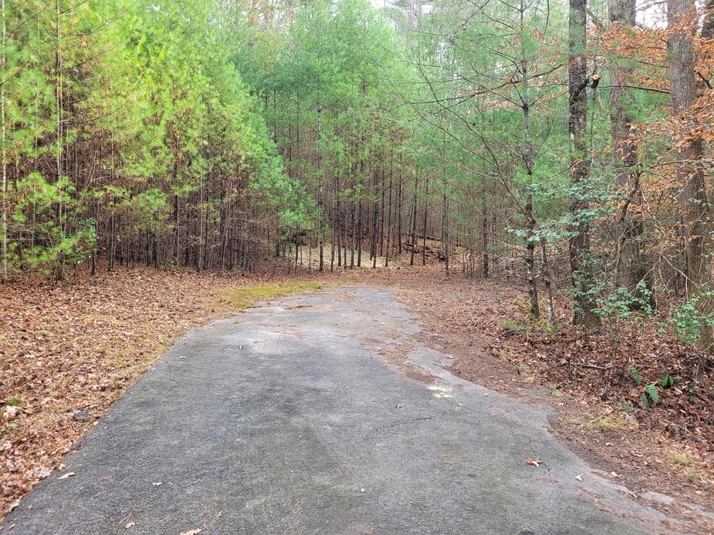 Lot 31 Poplar Cove, Hayesville NC 28904 - Primary photo
