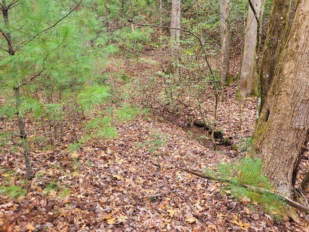 Lot 31 Poplar Cove, Hayesville NC 28904 - Photo