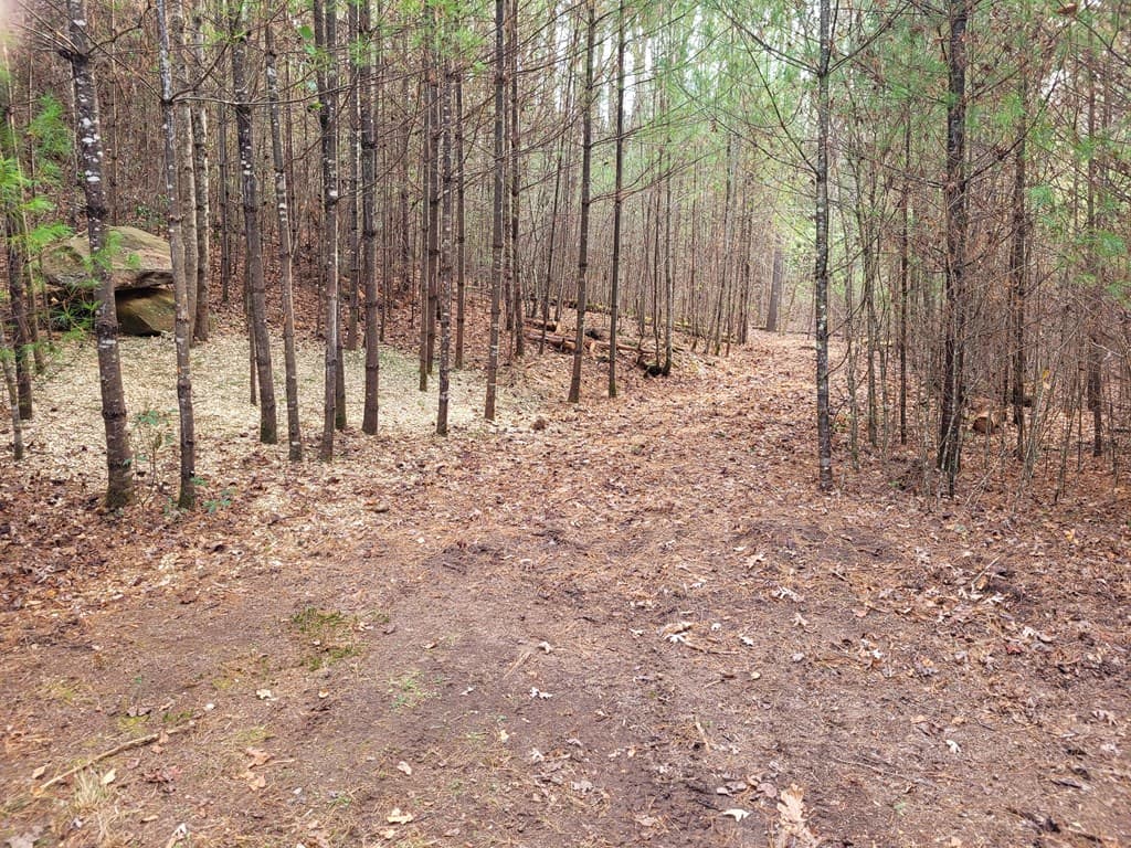 Lot 31 Poplar Cove, Hayesville NC 28904 - Photo