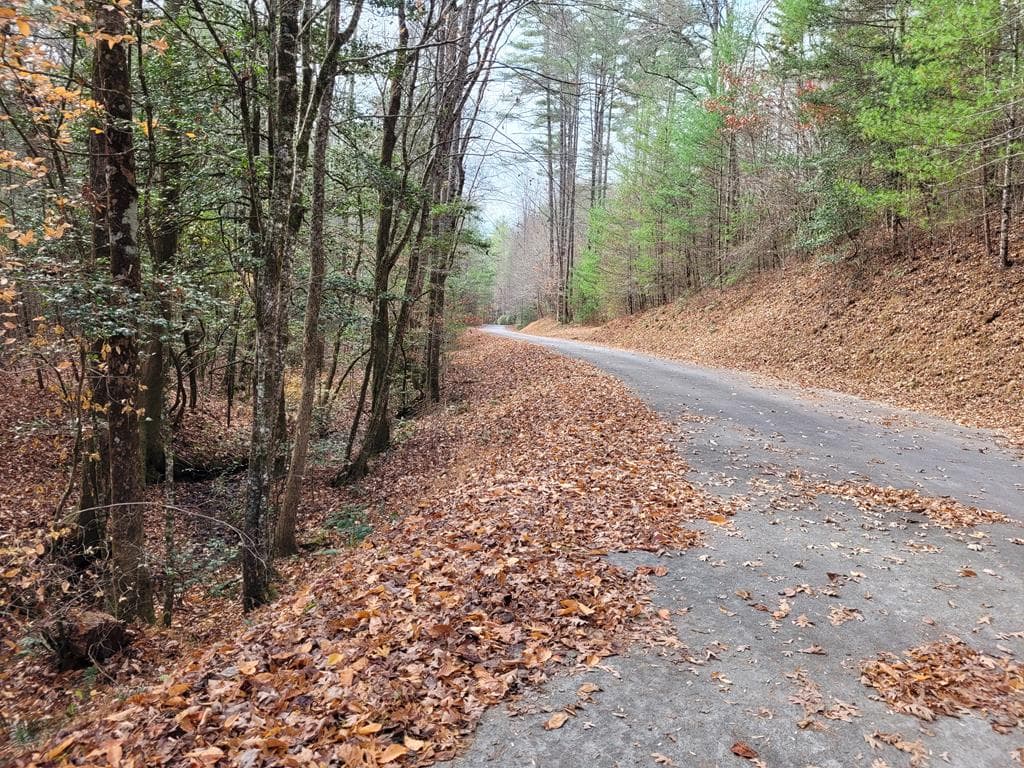 Lot 31 Poplar Cove, Hayesville NC 28904 - Photo