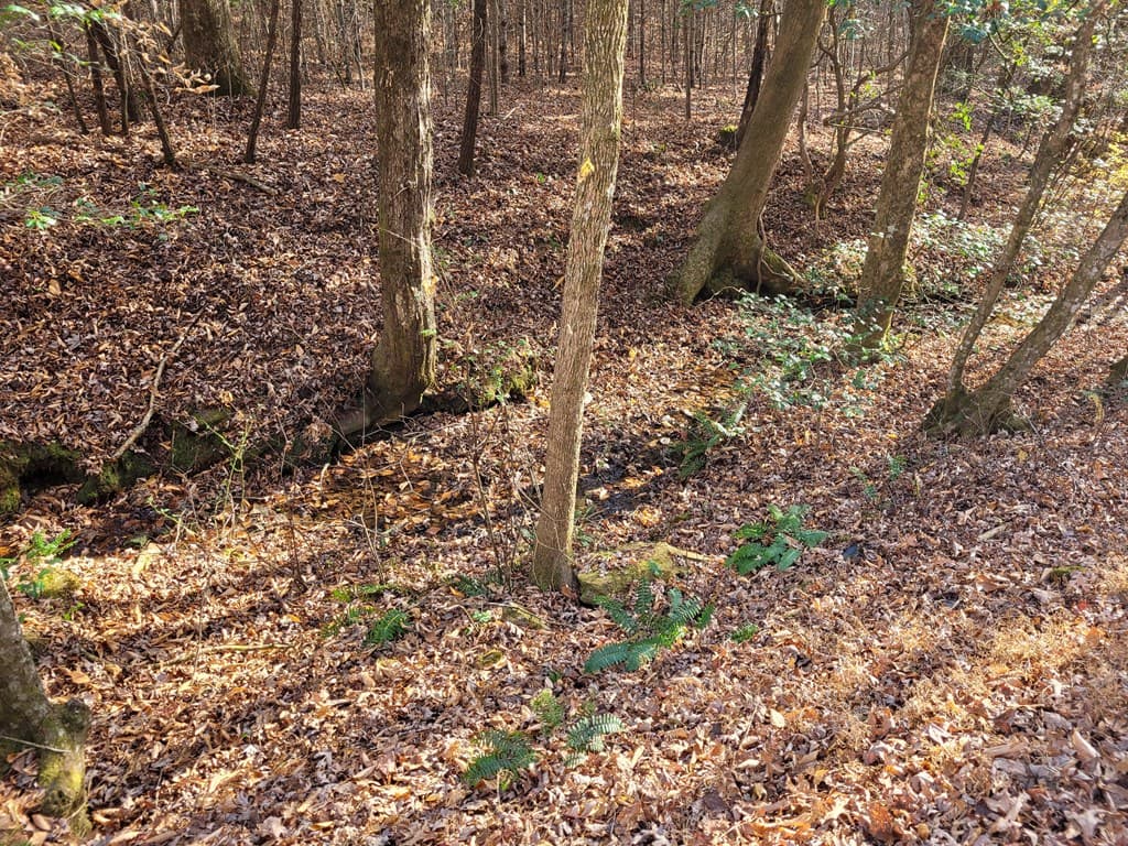 Lot 31 Poplar Cove, Hayesville NC 28904 - Photo