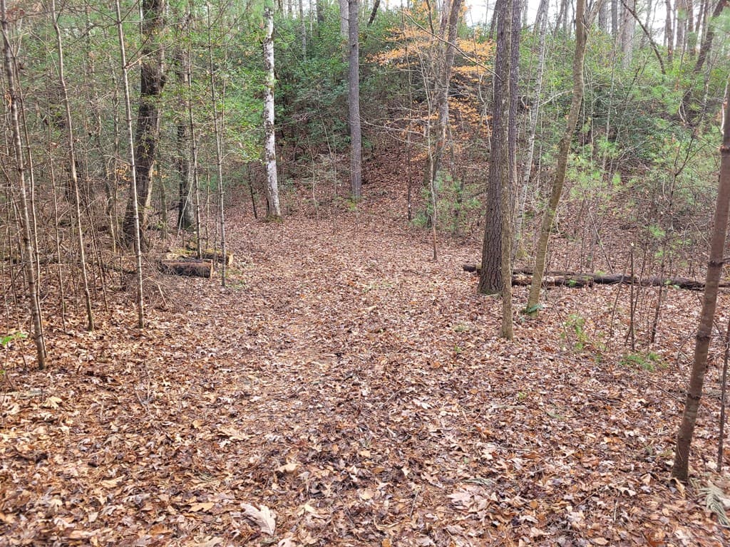 Lot 31 Poplar Cove, Hayesville NC 28904 - Photo