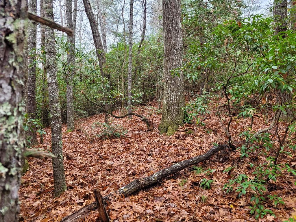 Lot 31 Poplar Cove, Hayesville NC 28904 - Photo