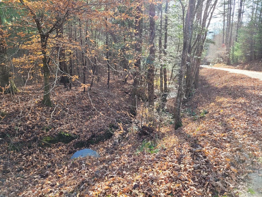 Lot 31 Poplar Cove, Hayesville NC 28904 - Photo