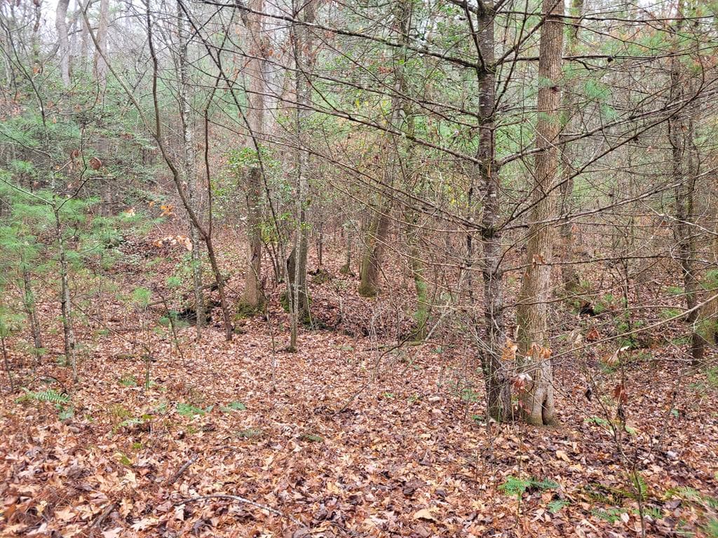 Lot 31 Poplar Cove, Hayesville NC 28904 - Photo