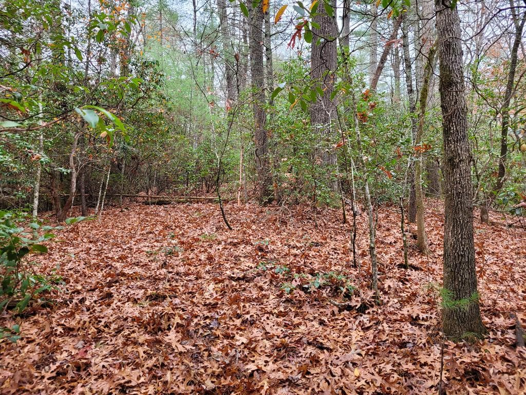 Lot 31 Poplar Cove, Hayesville NC 28904 - Photo