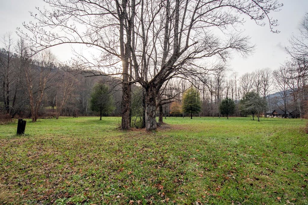 11509 Hwy 64 E, Hayesville NC 28904 - Photo