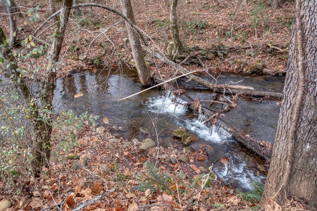 11509 Hwy 64 E, Hayesville NC 28904 - Photo
