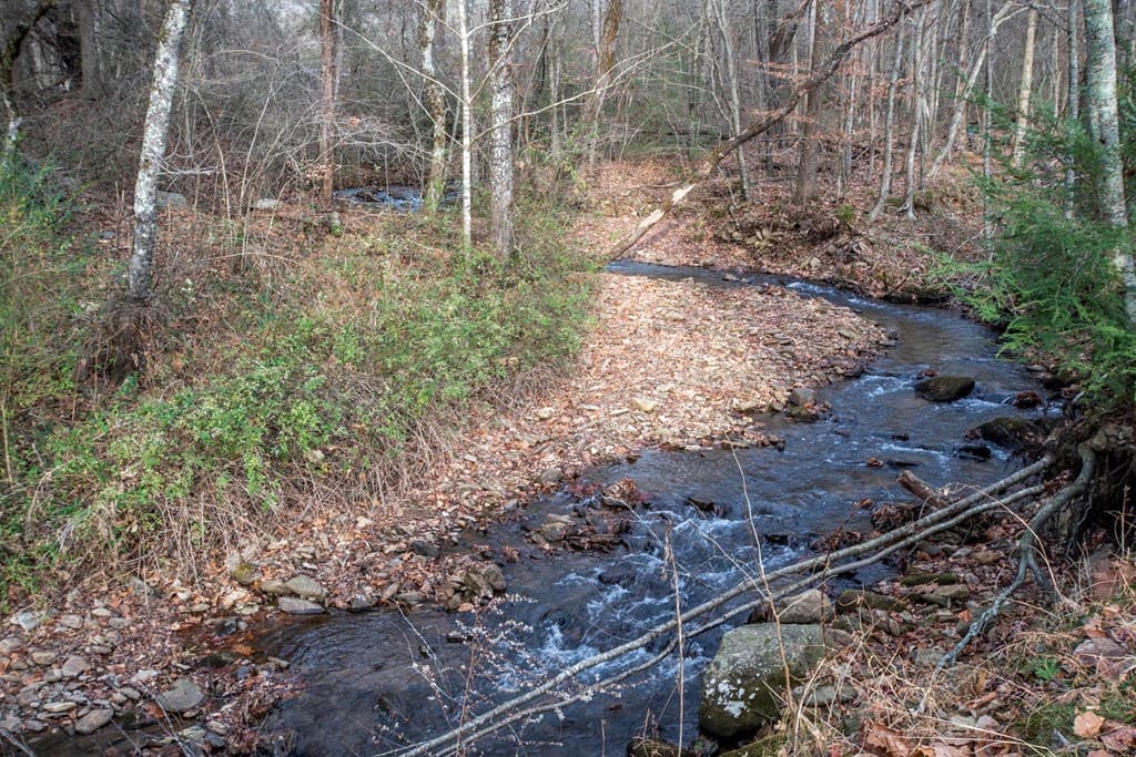 11509 Hwy 64 E, Hayesville NC 28904 - Photo