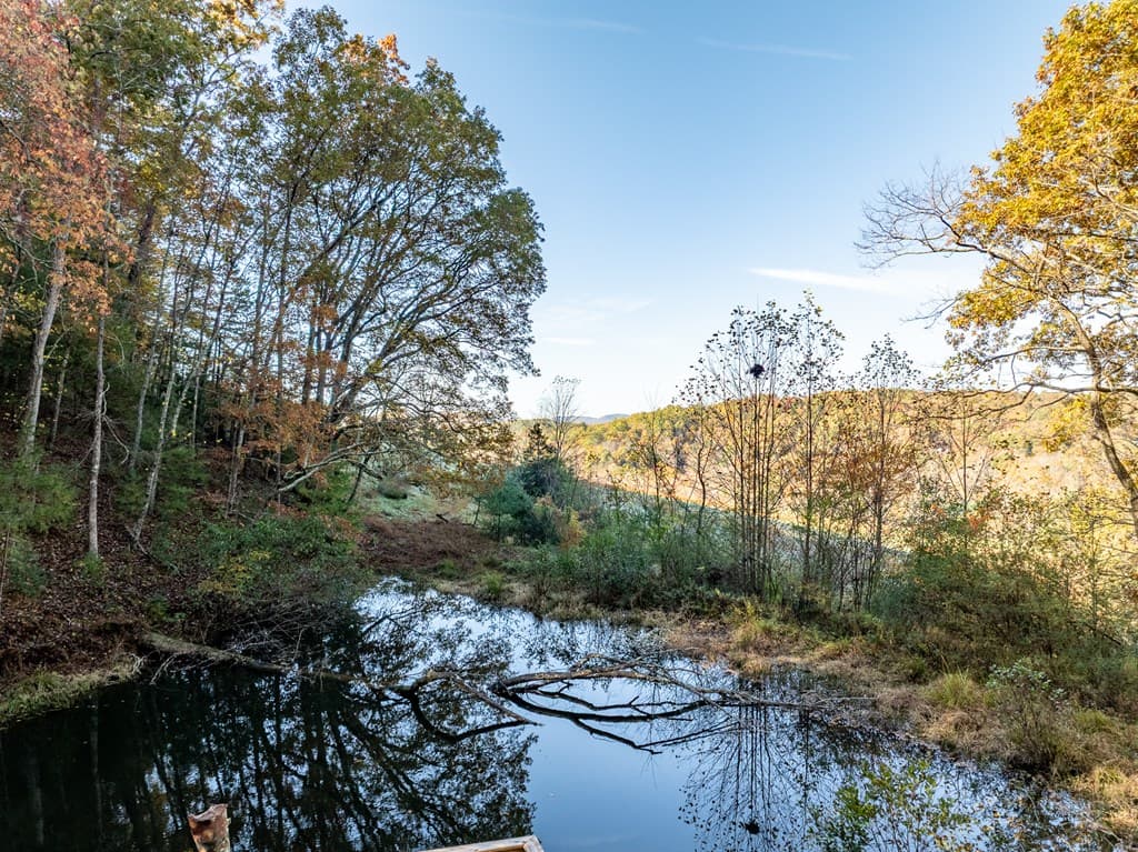 336 Old Skeenah Gap Road, Suches GA 30572 - Photo