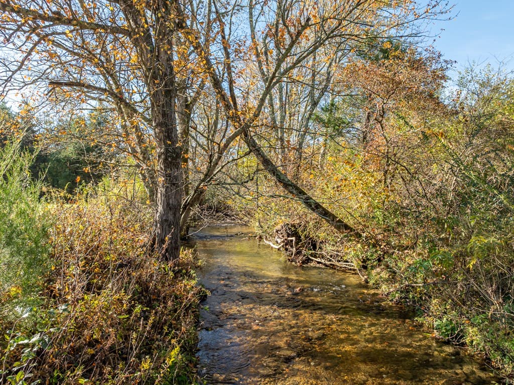 336 Old Skeenah Gap Road, Suches GA 30572 - Photo