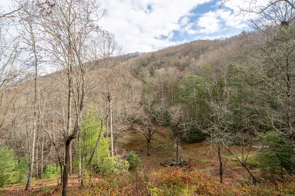 336 Old Skeenah Gap Road, Suches GA 30572 - Photo