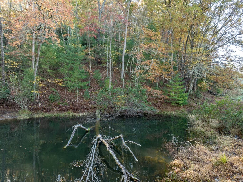 336 Old Skeenah Gap Road, Suches GA 30572 - Photo
