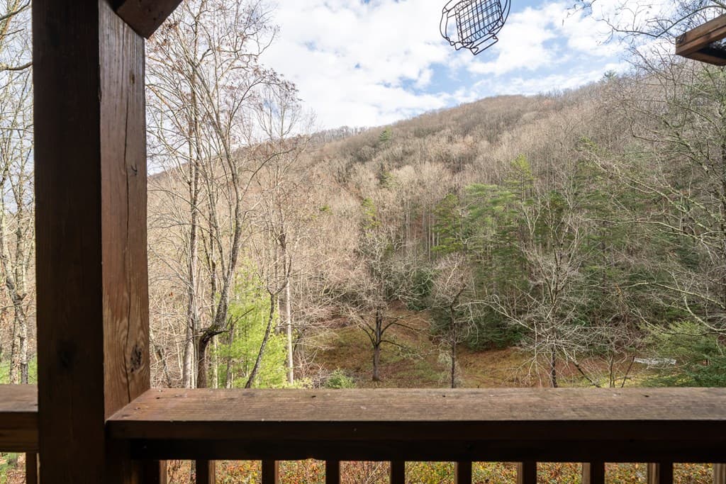 336 Old Skeenah Gap Road, Suches GA 30572 - Photo