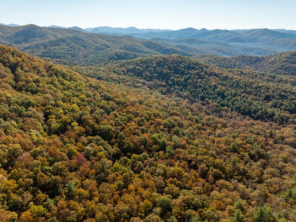 336 Old Skeenah Gap Road, Suches GA 30572 - Photo
