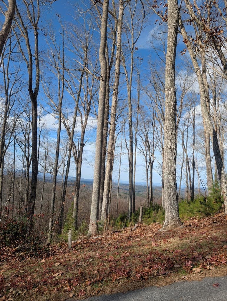 Lot 91 Winding Ridge, Blairsville GA 30512 - Photo