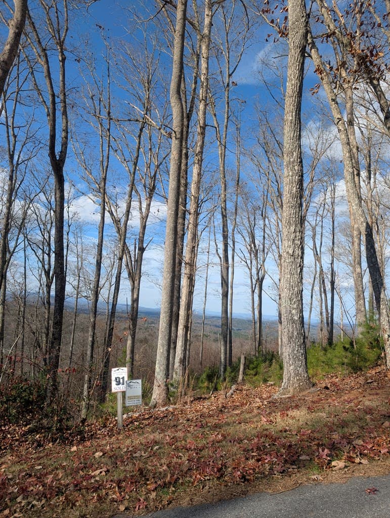 Lot 91 Winding Ridge, Blairsville GA 30512 - Photo