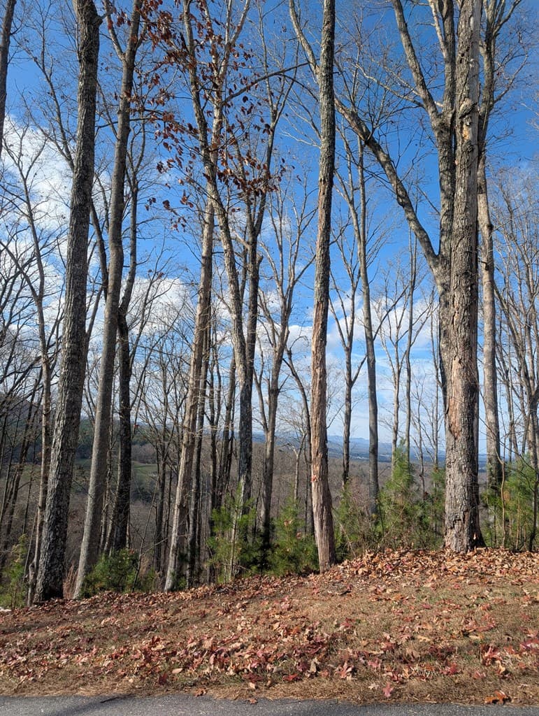 Lot 91 Winding Ridge, Blairsville GA 30512 - Photo