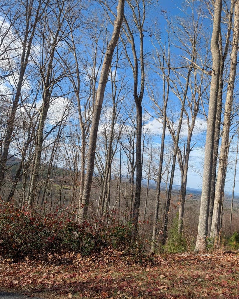Lot 91 Winding Ridge, Blairsville GA 30512 - Photo