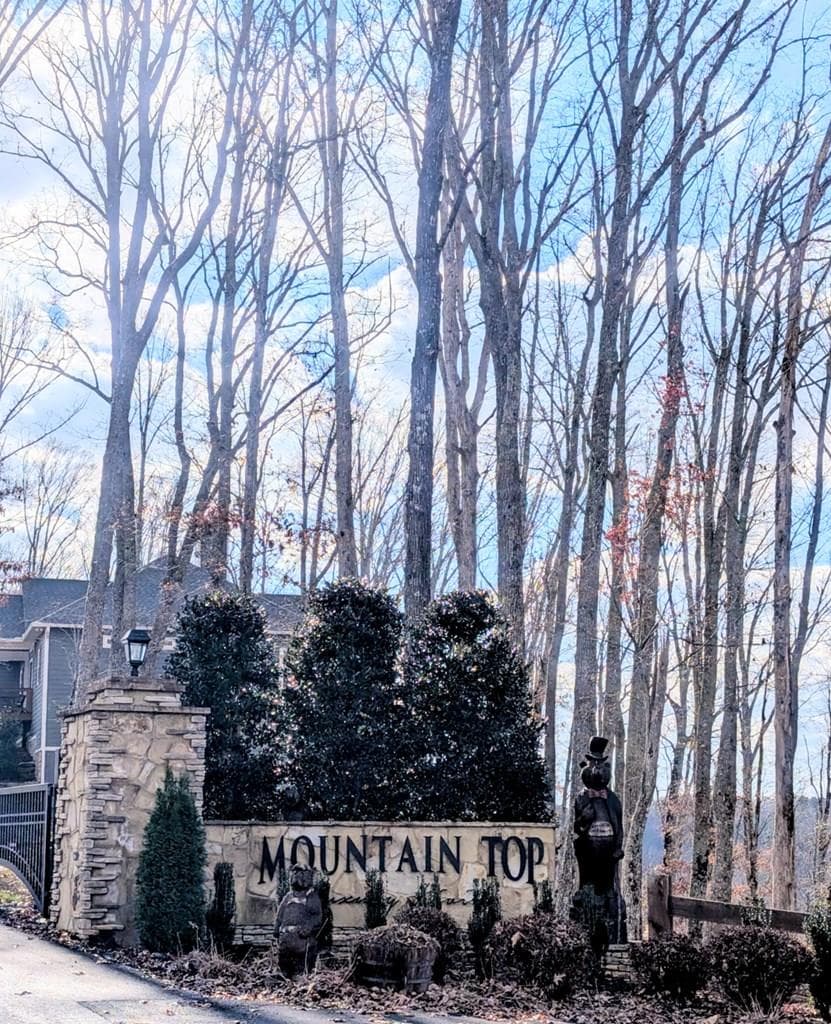 Lot 91 Winding Ridge, Blairsville GA 30512 - Primary photo