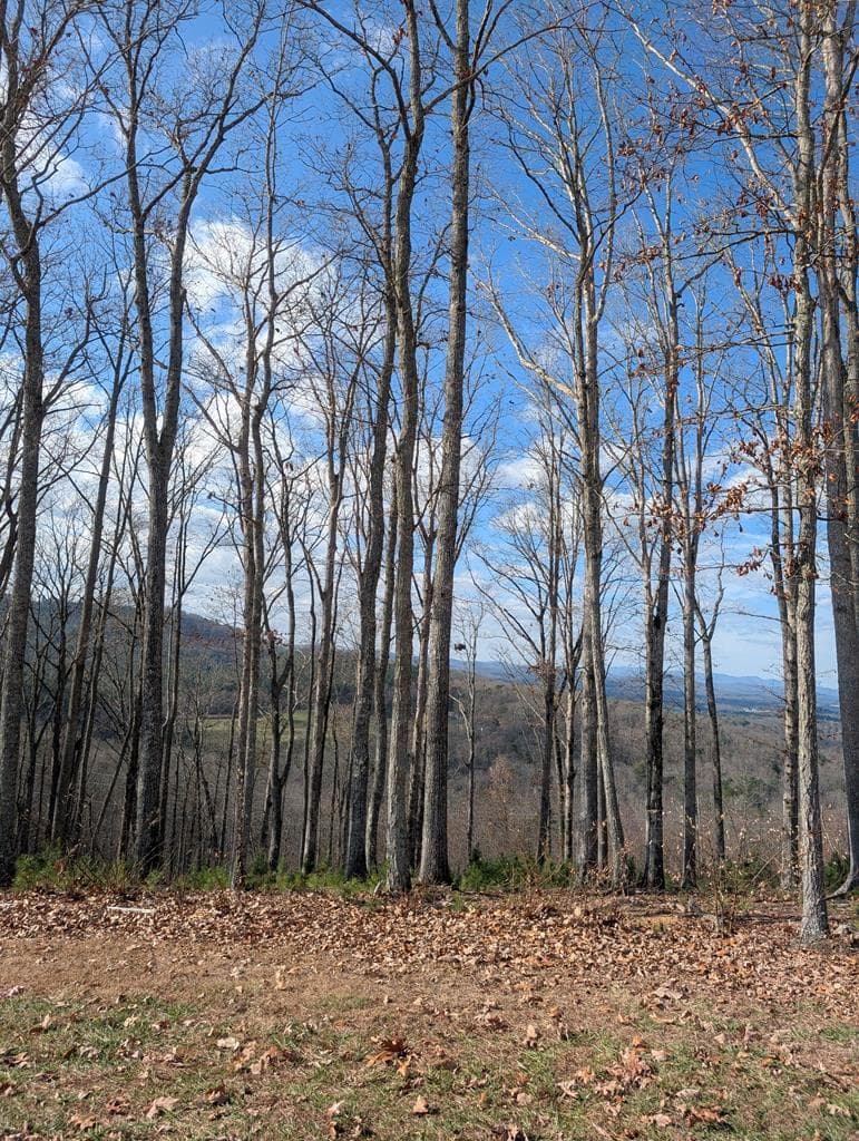 Lot 91 Winding Ridge, Blairsville GA 30512 - Photo