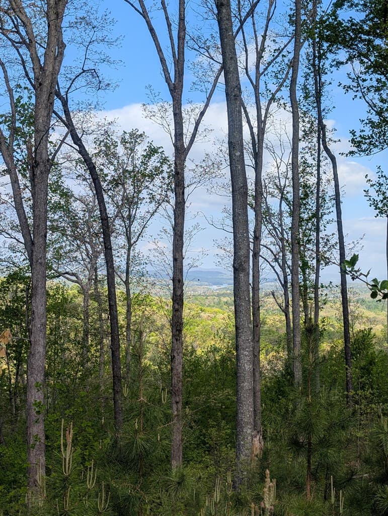Lot 91 Winding Ridge, Blairsville GA 30512 - Photo