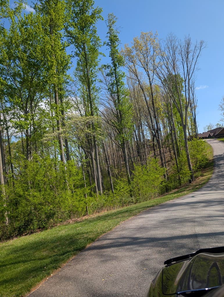 Lot 91 Winding Ridge, Blairsville GA 30512 - Photo