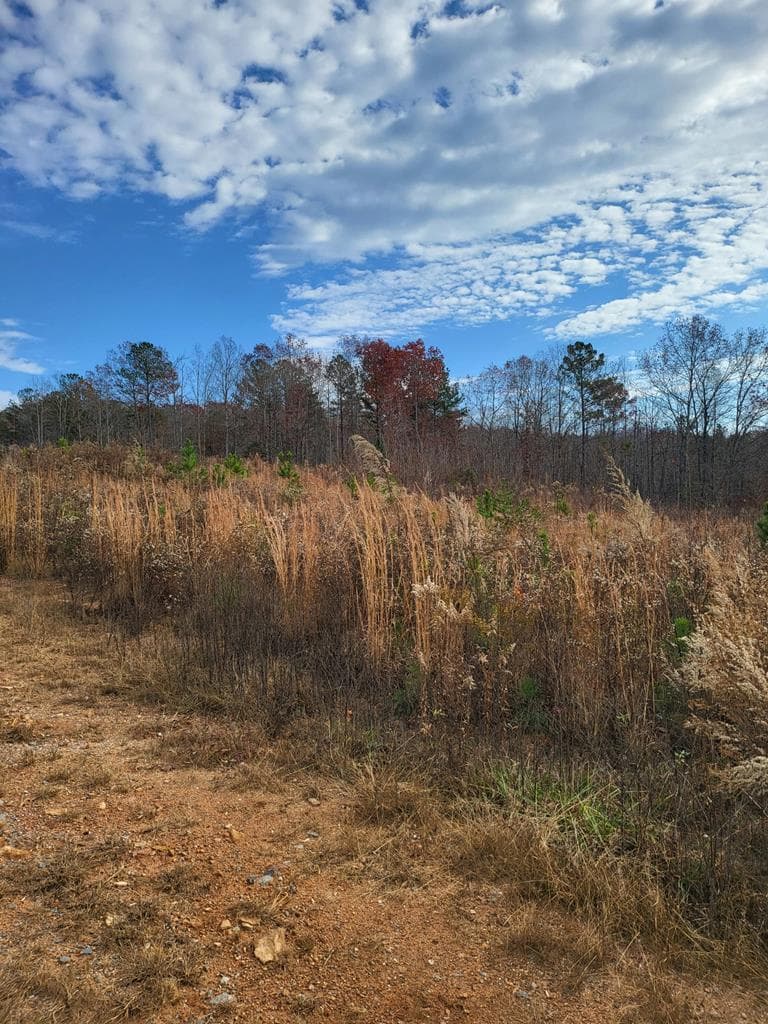 00 Highgrove Drive, Ellijay GA 30540 - Photo