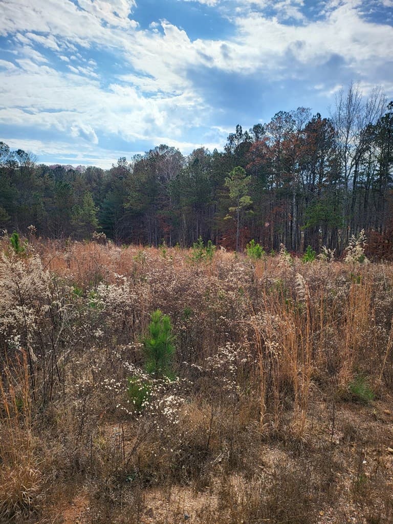 00 Highgrove Drive, Ellijay GA 30540 - Photo