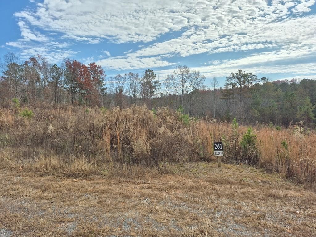 00 Highgrove Drive, Ellijay GA 30540 - Primary photo