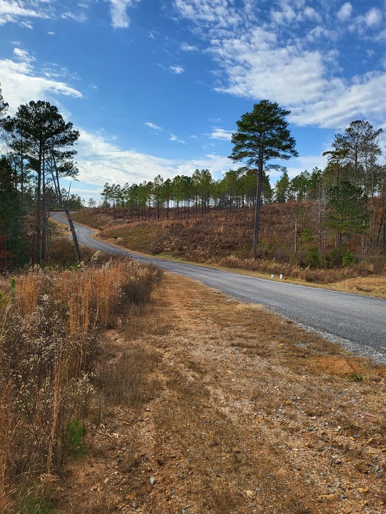 00 Highgrove Drive, Ellijay GA 30540 - Photo