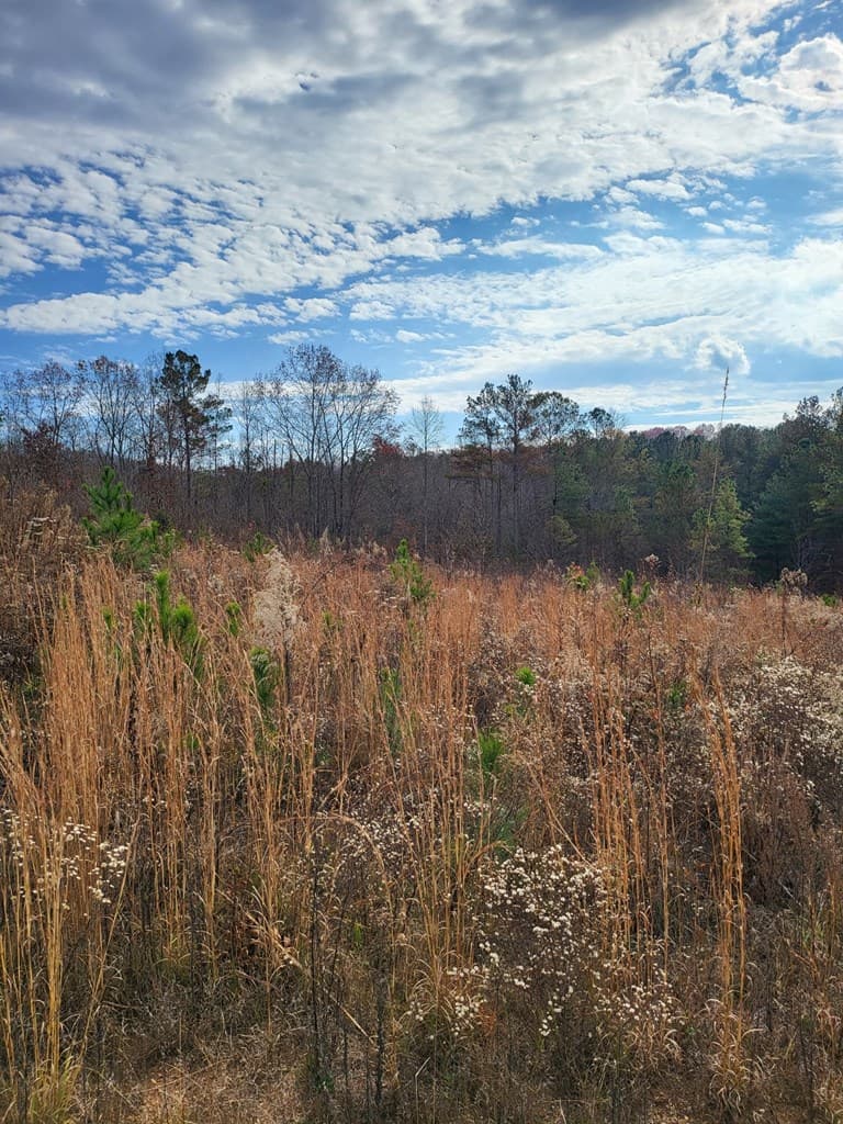 00 Highgrove Drive, Ellijay GA 30540 - Photo