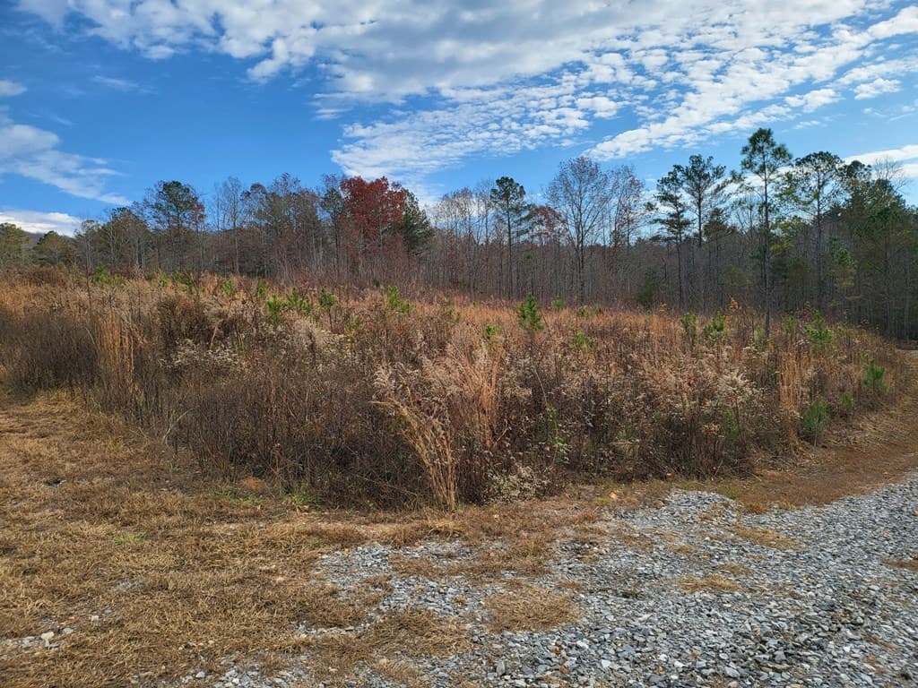 00 Highgrove Drive, Ellijay GA 30540 - Photo