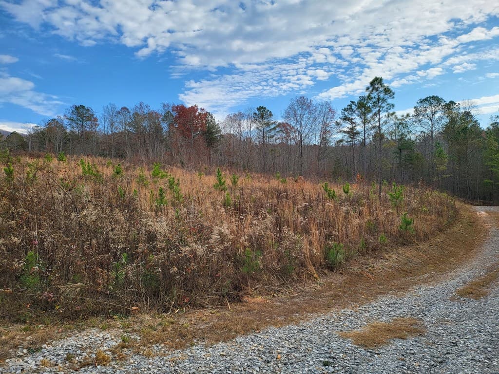 00 Highgrove Drive, Ellijay GA 30540 - Photo