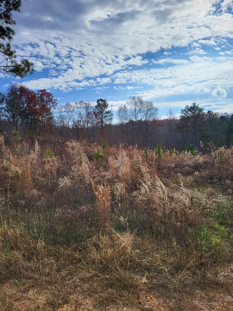 00 Highgrove Drive, Ellijay GA 30540 - Photo