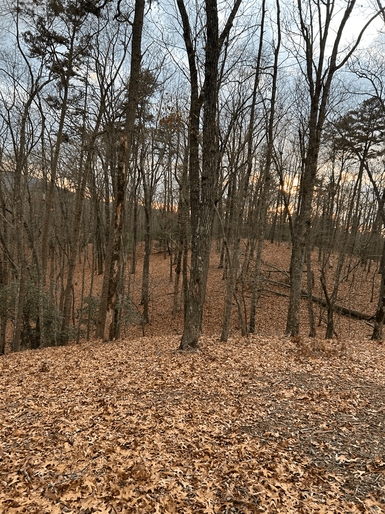 0 Tracks Hollow, Murphy NC 28906 - Photo