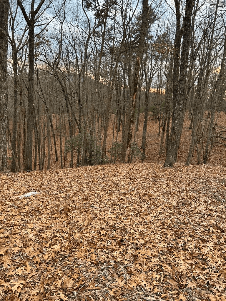 0 Tracks Hollow, Murphy NC 28906 - Primary photo